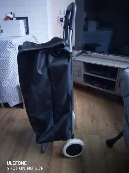 Photo of free shopping trolly (Chingford E4) #2