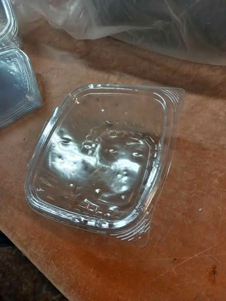 Photo of free Lidded Takeaway Food Containers (Leatherhead KT22) #2