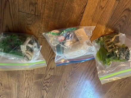 Photo of free Aquarium & supplies (Chestnut Hill) #2