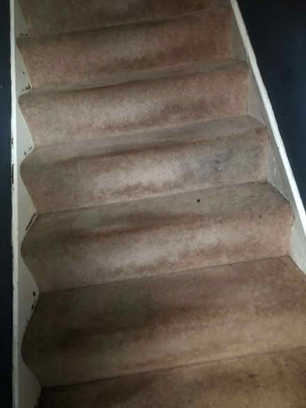 Photo of free old wool stair carpet (Sprowston NR7) #1
