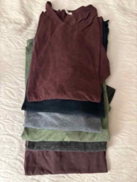 Photo of free Mens clothes 34 waist / L t-shirts (Willow Glen) #1