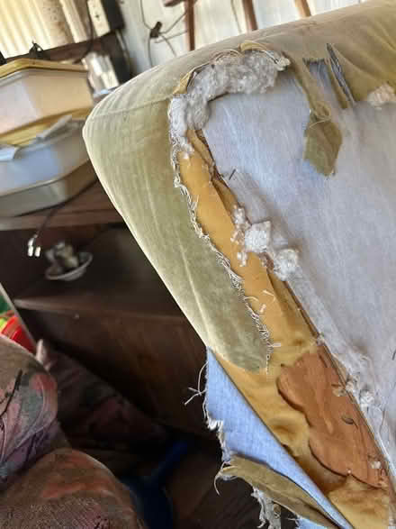 Photo of free Cotton velvet couch (McKinleyville airport) #2