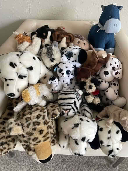 Photo of free Soft Toys (Rusthall TN4) #1