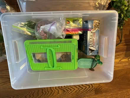Photo of free Aquarium & supplies (Chestnut Hill) #3