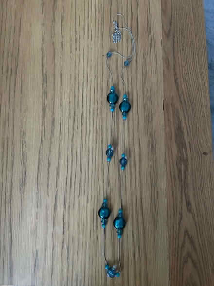 Photo of free Long necklace (L26) #1