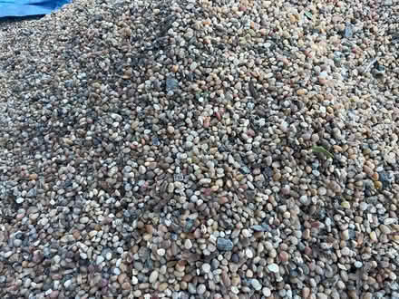 Photo of free Decorative pea gravel (Phinney Ridge) #3