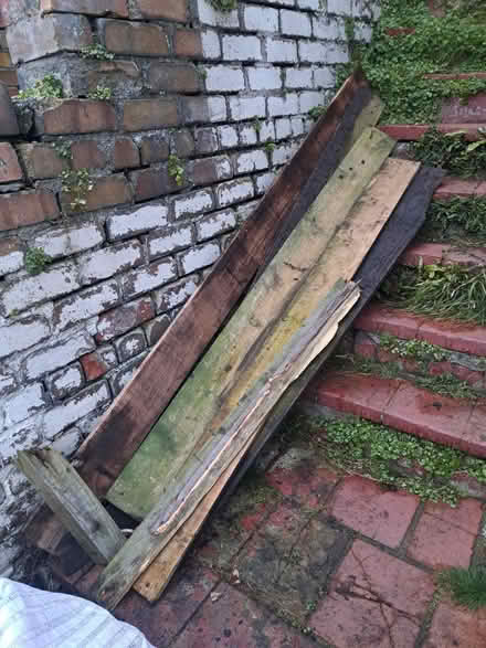 Photo of free Scrap/rotting wood (BS3) #1