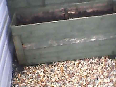 Photo of free Planter (Box) #2
