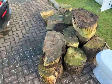 Photo of free Wood - tree cuts (Lowther CA10) #1