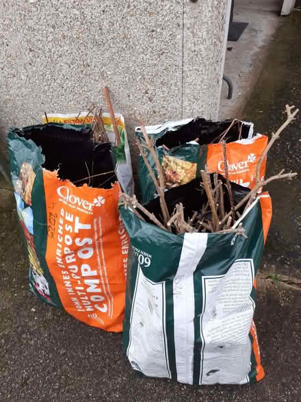 Photo of free Kindling (Hellesdon NR6) #1