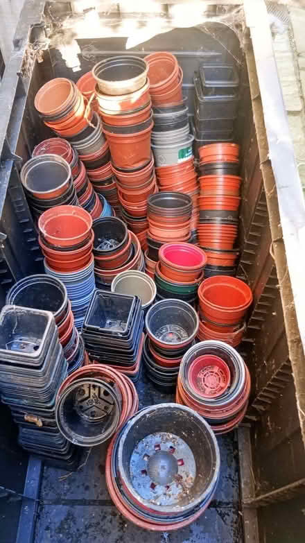 Photo of free Plant Pots (Pannal HG2) #1