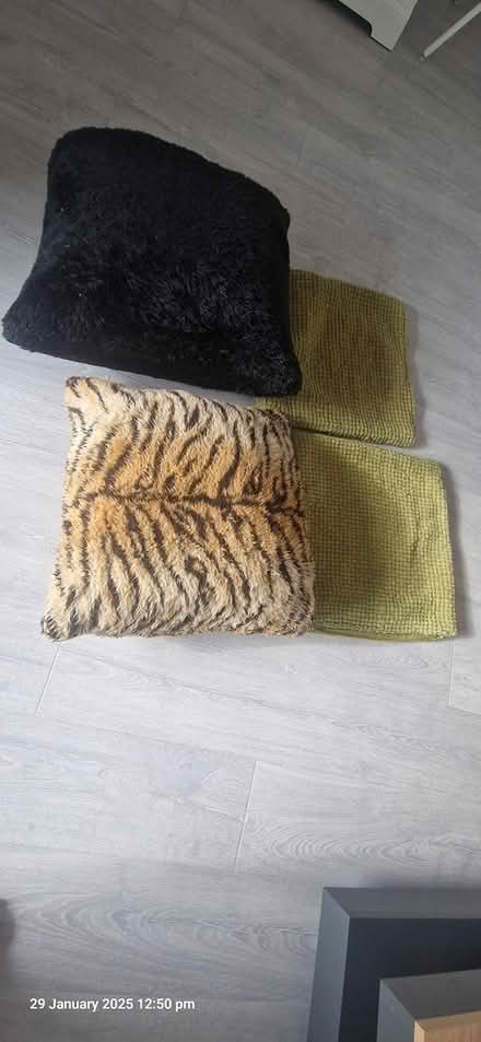 Photo of free Cushion and cushion covers (DA6) #1