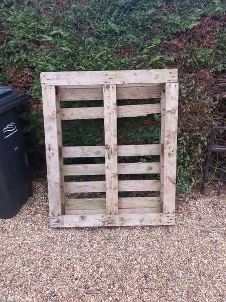 Photo of free 2 large pallets (Ringmer BN8) #1