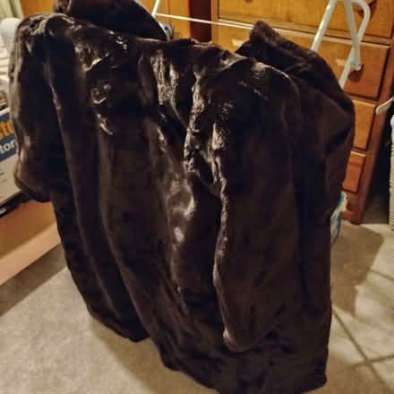Photo of free Synthetic Fur Coat (Rayleigh SS6) #1