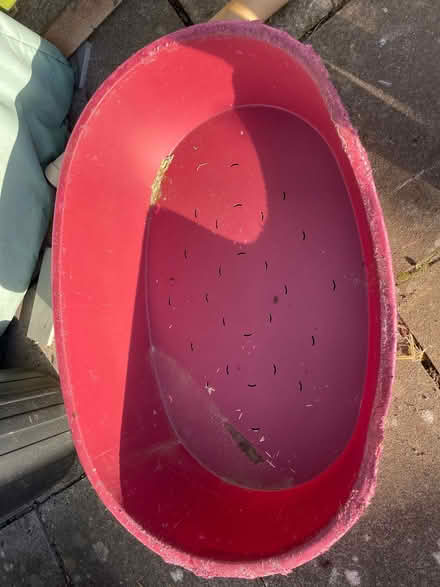 Photo of free Hard plastic dog bed (Warton LA5) #1