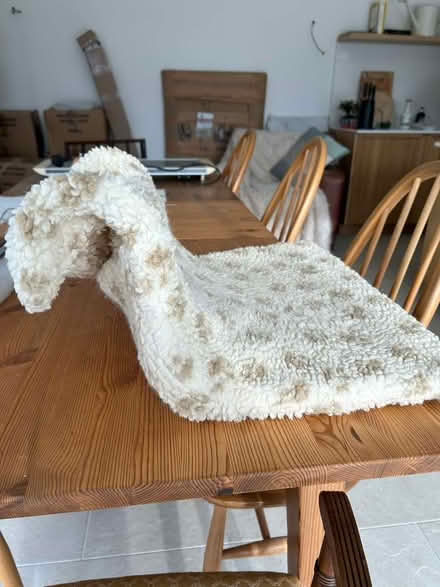 Photo of free Radiator Cats Cradle Bed (Penn HP10) #1