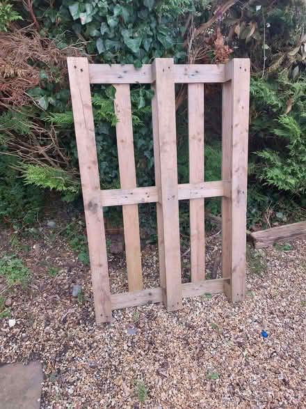 Photo of free 2 large pallets (Ringmer BN8) #2