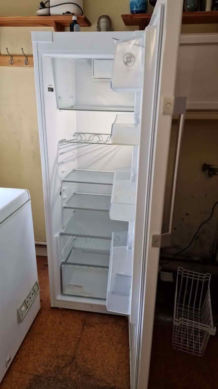 Photo of free Upright, freestanding fridge (Wantage OX12) #1