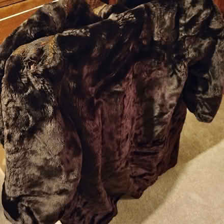 Photo of free Synthetic Fur Coat (Rayleigh SS6) #2