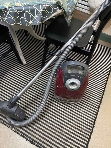 Photo of free Miele cat and dog hoover for parts (Upper Norwood SE19) #1