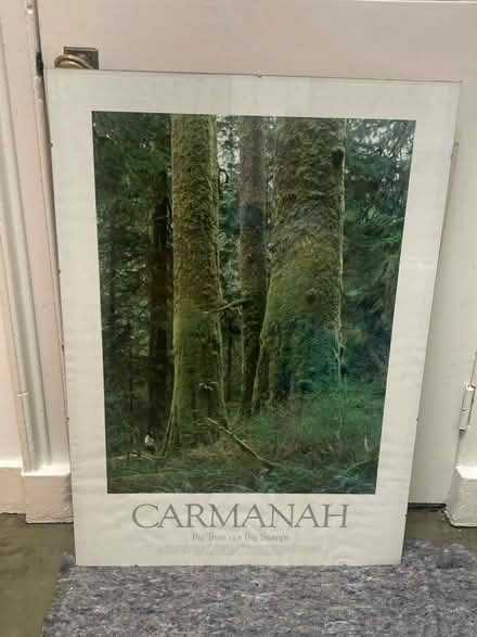 Photo of free Tree poster (Stockbridge EH3) #1