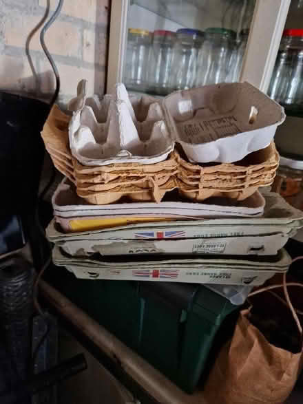 Photo of free Egg boxes (Blyth NE24) #1