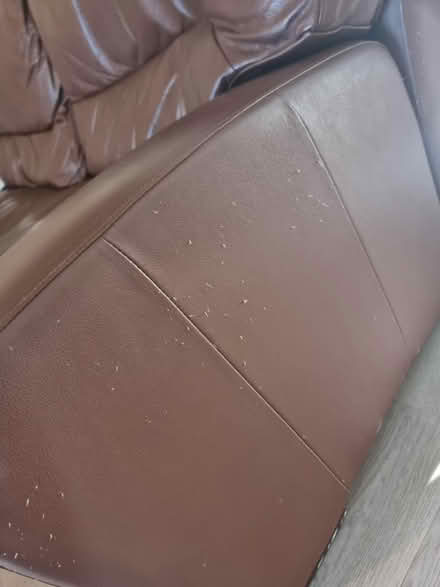 Photo of free 2 seater sofa (Walderslade woods) #3