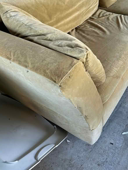 Photo of free Goldenrod colored long sofa (McKinleyville airport) #2