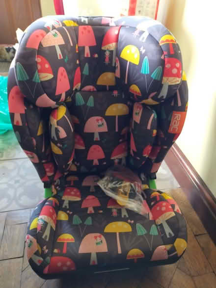 Photo of free Childs car seat (Little Wenlock TF6) #1