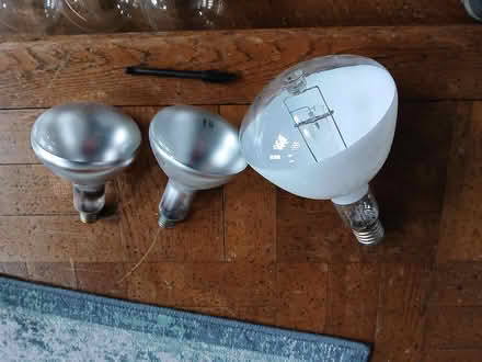 Photo of free large lightbulbs for art/decor (Portobello EH15) #2