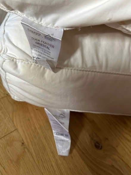 Photo of free Feather pillows (Hayling Island PO11) #2