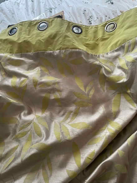 Photo of free 2 Pairs of Green Curtains (CT17) #1
