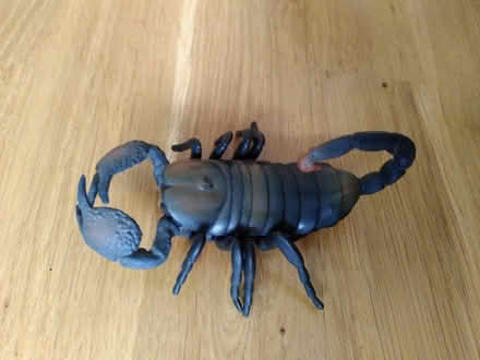 Photo of free Toy scorpion (Penarth CF64) #1