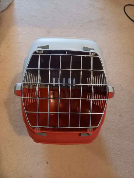 Photo of free small plastic cat carrier (BT9) #2
