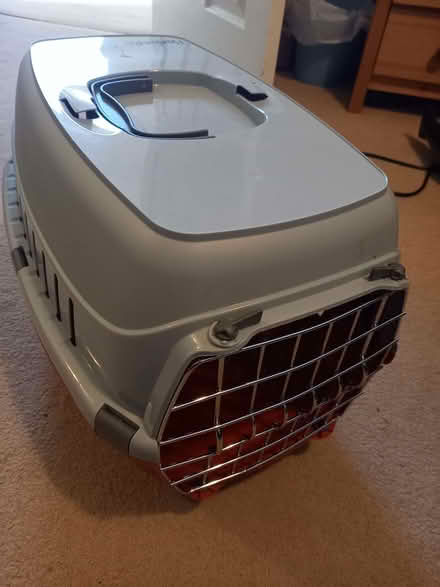 Photo of free small plastic cat carrier (BT9) #1