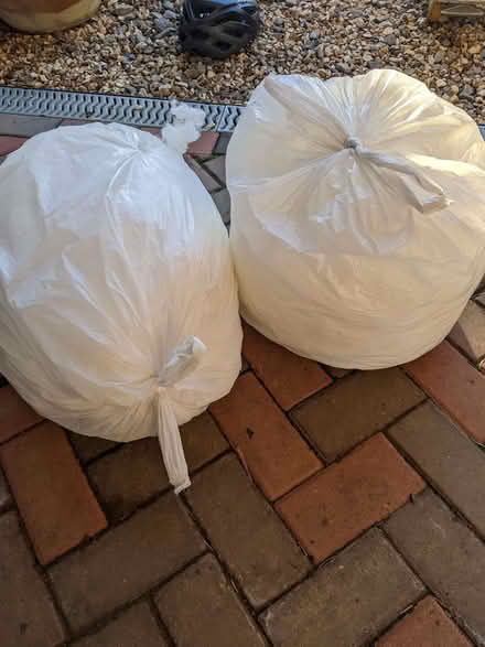 Photo of free Kapok (Cutteslowe OX2) #1