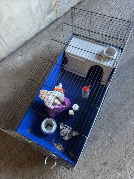 Photo of free Guinea Pig/Rodent Cage (KT2 5ag) #2