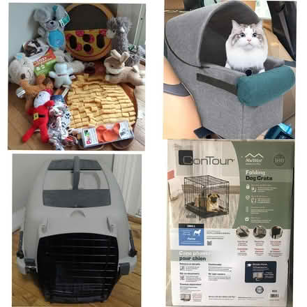 Photo of free Dog cat items carrier carseat toys (Near Mooseheart 60510) #2