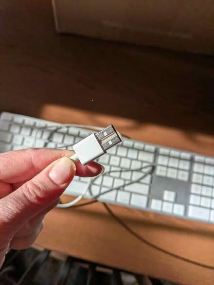 Photo of free Apple keyboard (Anacostia) #2