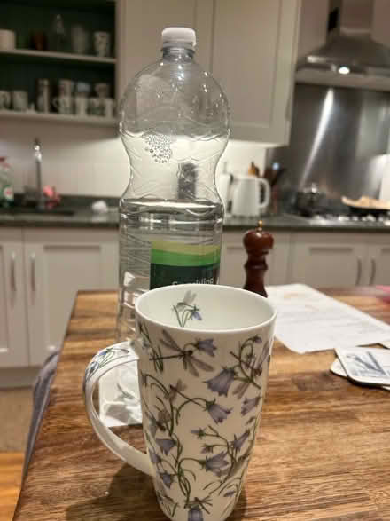 Photo of free Large mug (Chiswick W4) #1