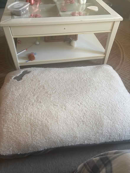 Photo of free Medium memory foam mattress dog bed (RG2 Shinfield) #1