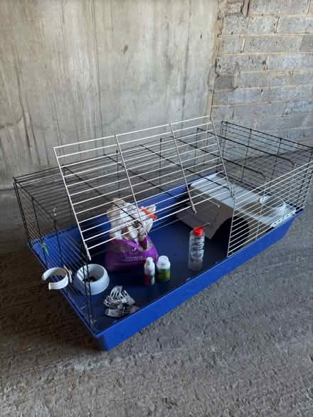 Photo of free Guinea Pig/Rodent Cage (KT2 5ag) #1