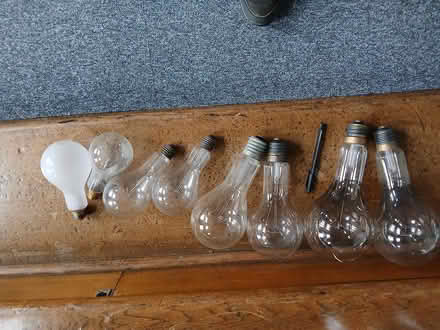 Photo of free large lightbulbs for art/decor (Portobello EH15) #1