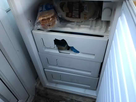 Photo of free Freezer (Gresford LL12) #2