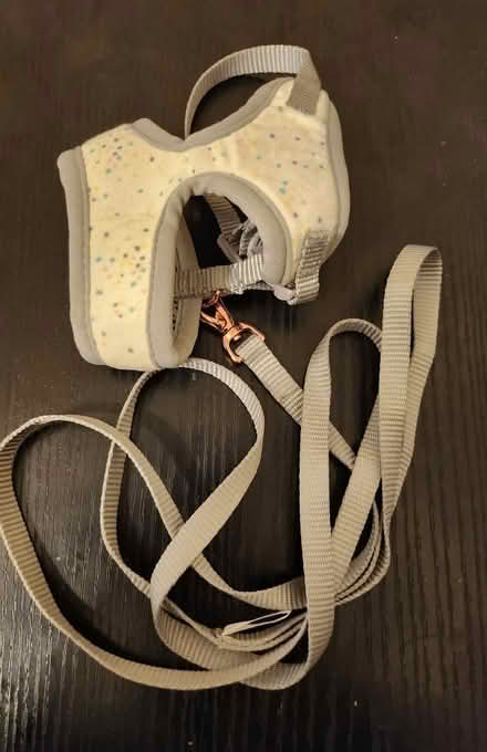 Photo of free Various pet items (Round Green LU2) #1