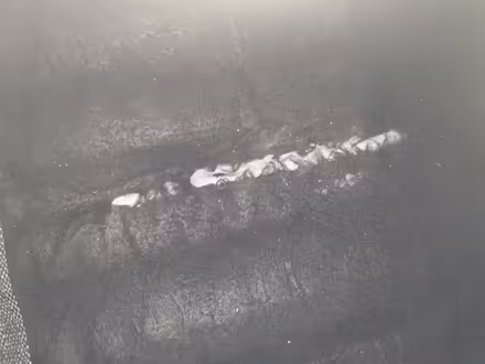 Photo of free Grey corner sofa (S5 parson Cross) #3
