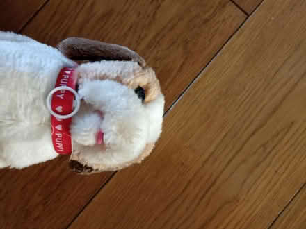 Photo of free Walking squeaky plush puppy (Romford RM1) #3