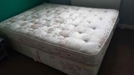 Photo of free King size divan bed (Staplecross TN32) #1