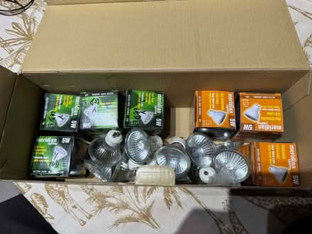 Photo of free Halogen bulbs (196 (Cutteslowe OX2) #1