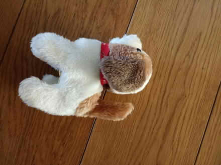 Photo of free Walking squeaky plush puppy (Romford RM1) #2